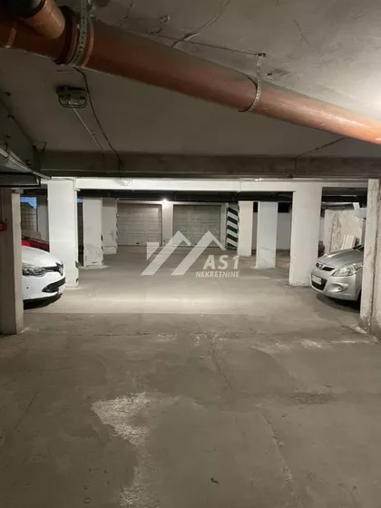 Petra Drapšina | 4zida.rs