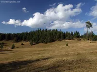 Zaovine, Tara | 4zida.rs