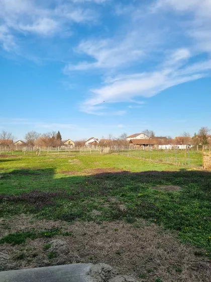 Žarka Jovića | 4zida.rs