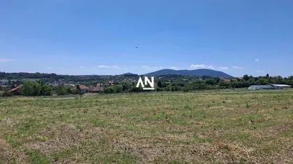 Jovana Cvijića | 4zida.rs