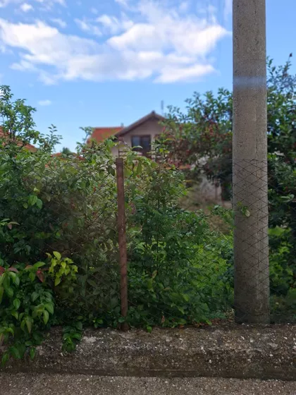 Bivoljska | 4zida.rs