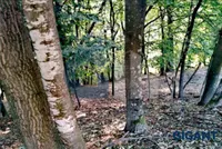 Plac | 4zida