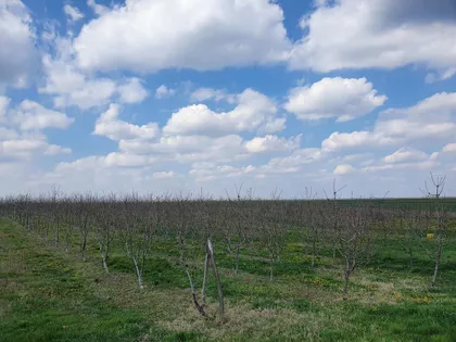 Lukićevo | 4zida.rs