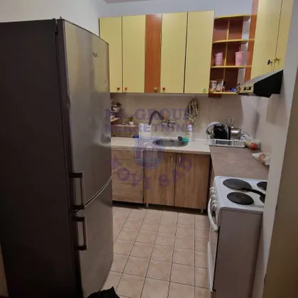 Nova Detelinara | 4zida.rs