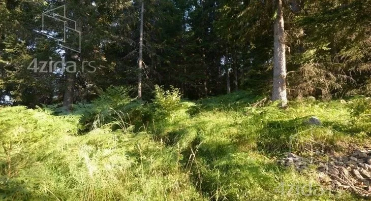 Plac | 4zida