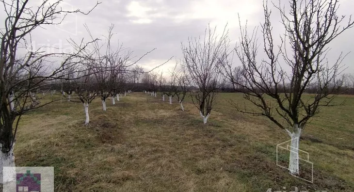 Poljoprivredno zemljište | 4zida