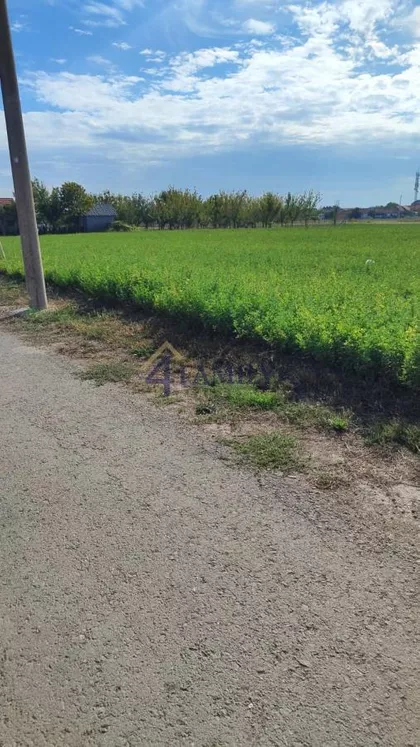 Batajnica | 4zida.rs