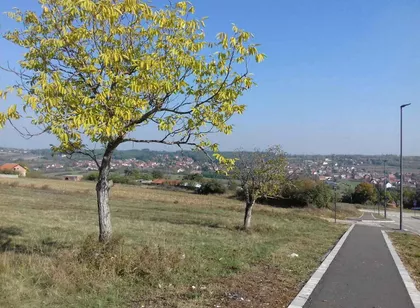 Dobropoljska | 4zida.rs