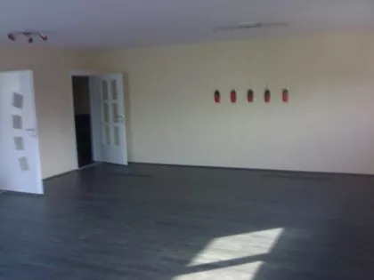 PAZOVACKI PUT | 4zida.rs