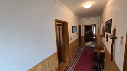 Pačir | 4zida.rs