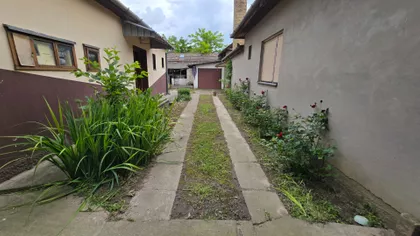 Pačir | 4zida.rs
