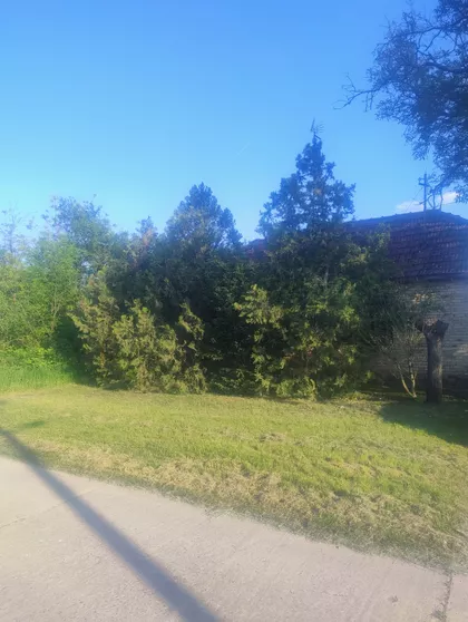 Petefi Šandora | 4zida.rs