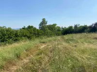 Plac | 4zida