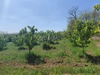 Dučina, Sopot opština, Beograd | 4zida.rs