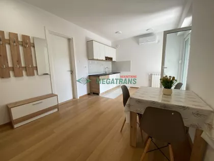 Pavla Papa | 4zida.rs