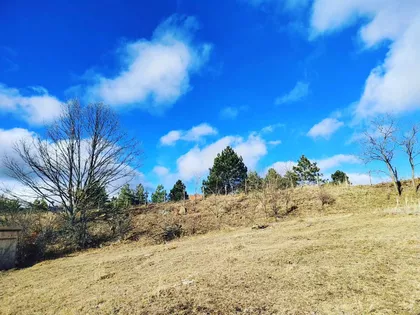 Tometino Polje | 4zida.rs