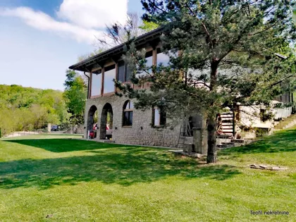 Česte Bukve | 4zida.rs