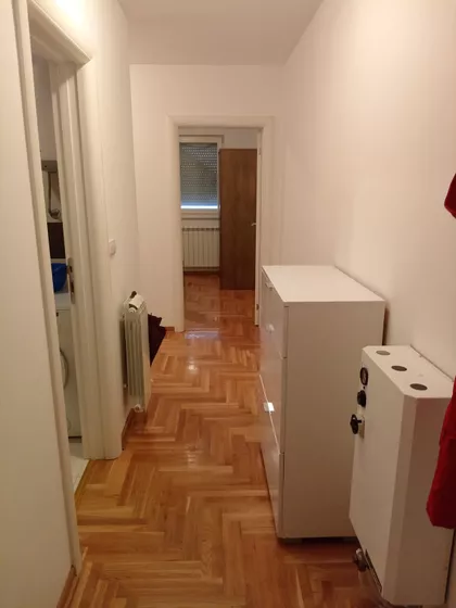 Vitezova Karađorđeve Zvezde | 4zida.rs