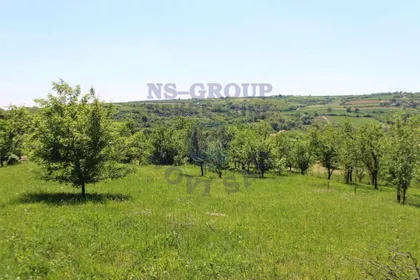 Vrdnik | 4zida.rs