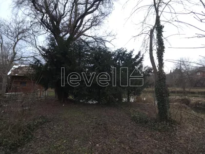 Alibegovac | 4zida.rs