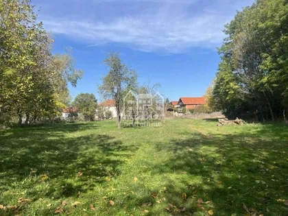 Nikola Tesla | 4zida.rs