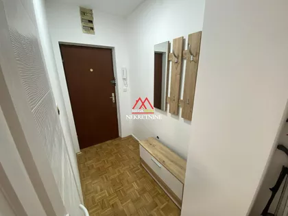 Pasterova | 4zida.rs