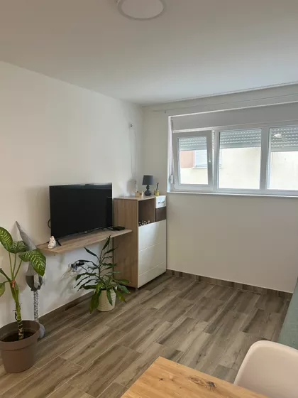 Jovana Bijelića | 4zida.rs