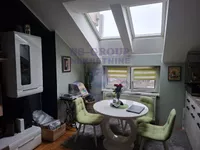 Nova Detelinara, Detelinara, Gradske lokacije, Novi Sad | 4zida.rs
