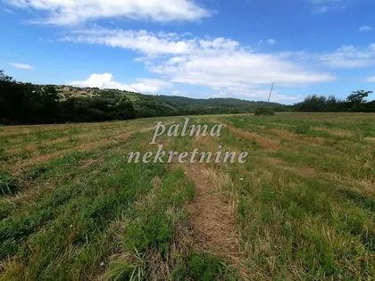 Drenovac | 4zida.rs