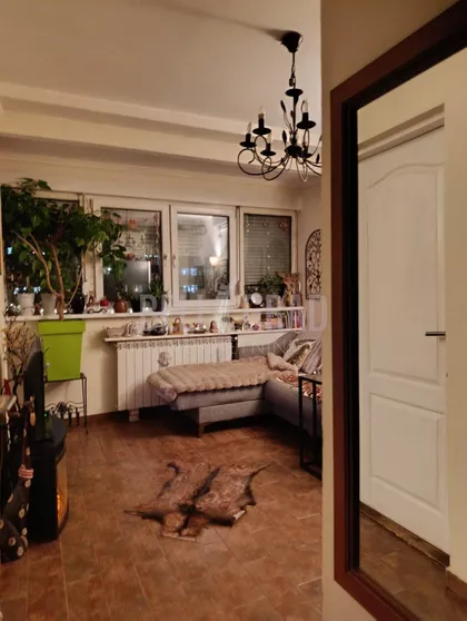 Studentska | 4zida.rs