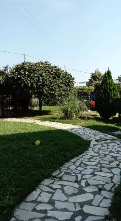 Nikole Pašića 15A | 4zida.rs