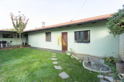 Salajka | 4zida.rs