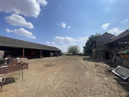 Bavaništanski Put | 4zida.rs