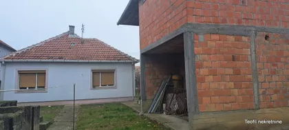 Ratka Pavlovića | 4zida.rs