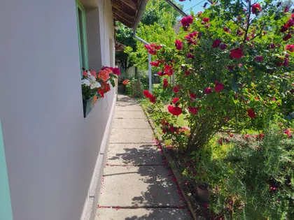 Centar | 4zida.rs