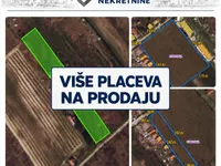 Srpski Šor, Zorka, Gradske lokacije, Subotica | 4zida.rs