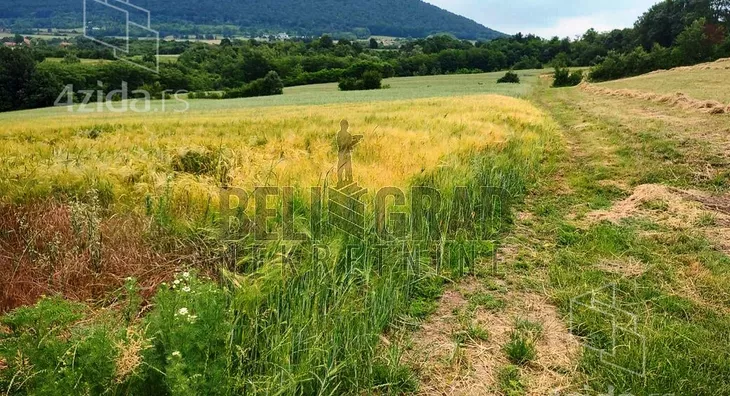 Plac | 4zida