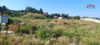 Alibegovac | 4zida.rs