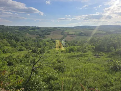 Fruška Gora | 4zida.rs