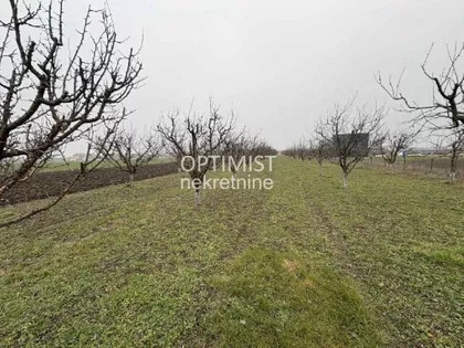 Male međe nova 28. | 4zida.rs