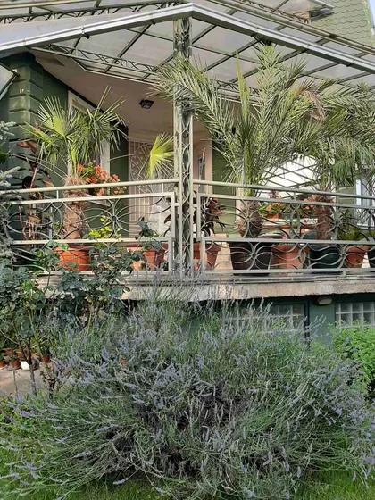 Miće Popovića | 4zida.rs