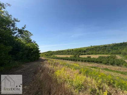 Okolne lokacije | 4zida.rs