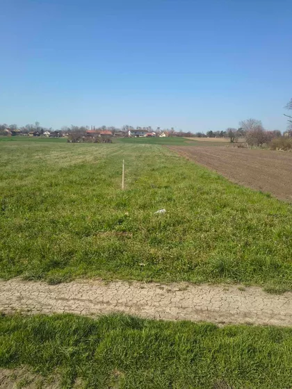 Augusta Cesareca | 4zida.rs