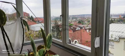 Vojvode Stepe | 4zida.rs
