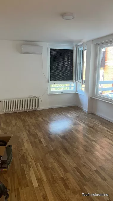 Svetozara Papića