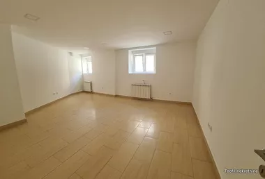 Srebrnička