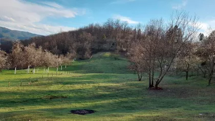 Mokra Gora bb | 4zida.rs