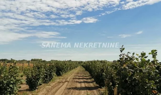 Poljoprivredno zemljište | 4zida