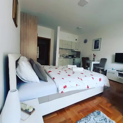 Snežnik | 4zida.rs