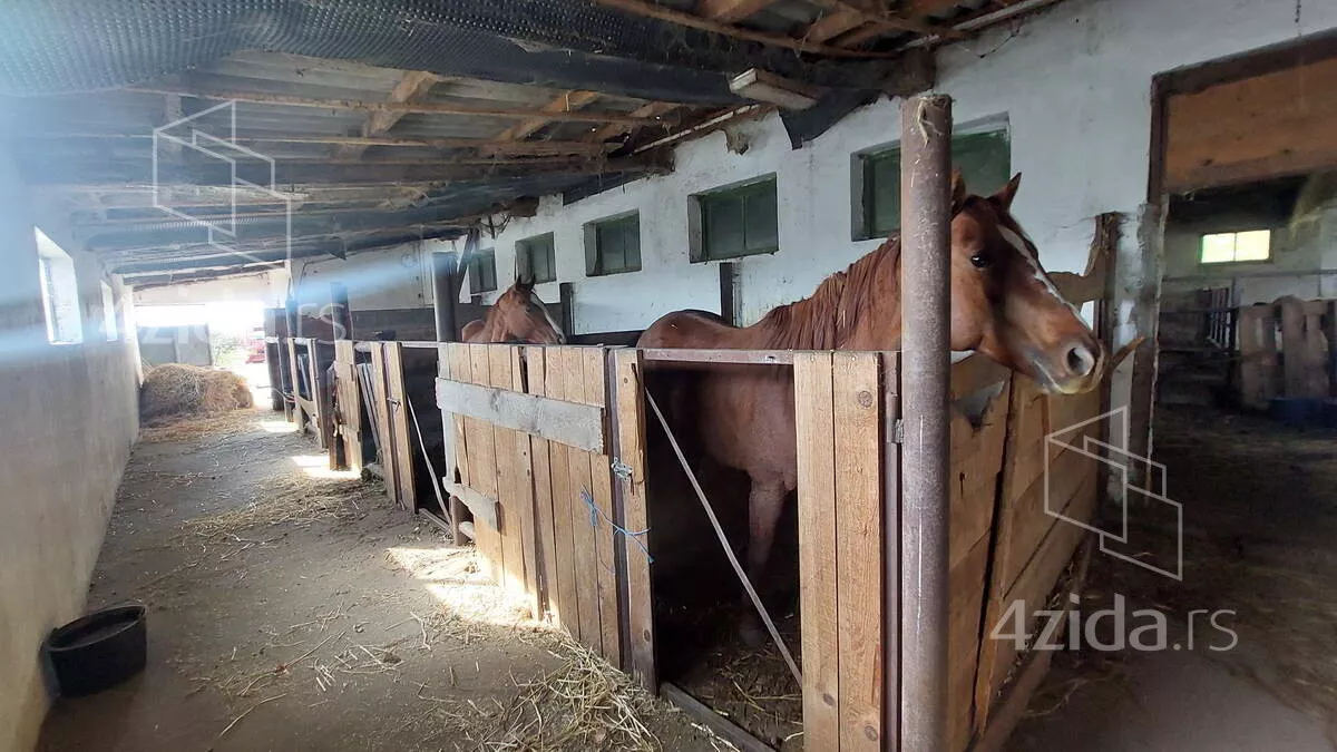 Poslovna zgrada | 4zida